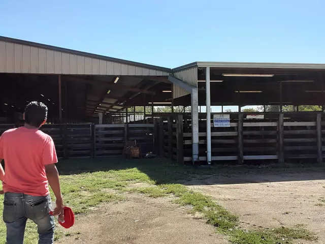 Wharton Livestock Auction Inc