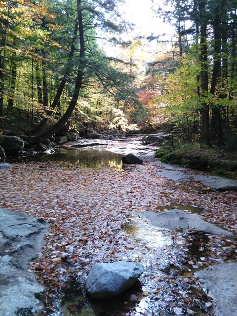 Roaring Brook Trailhead