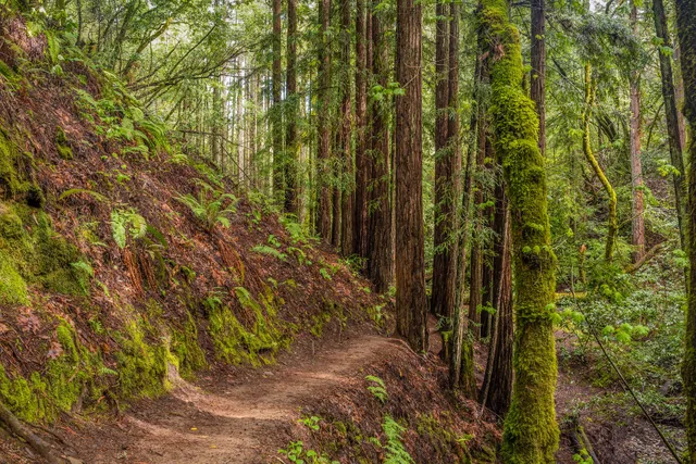 Dawn Falls Trailhead