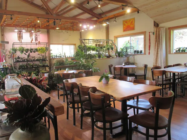 Persephone Cafe & Bakery