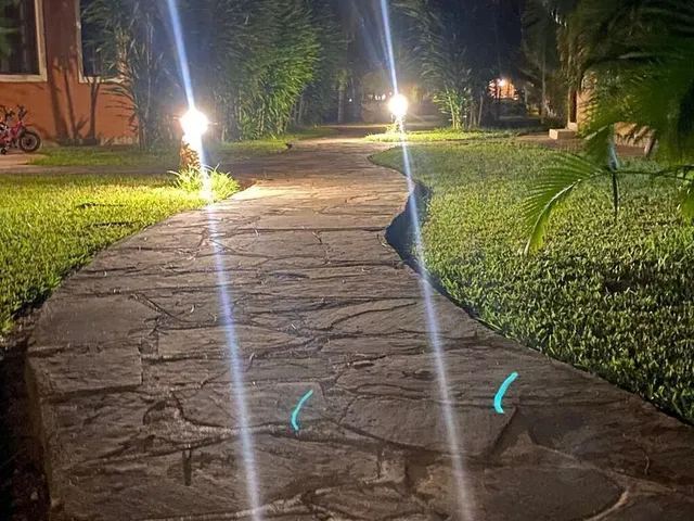 Tembo Court Apartments