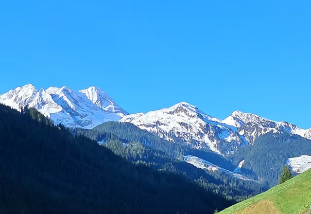 Heimat Apartments - Zillertal