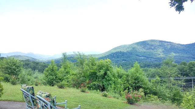 Serenity Insight Meditation Center