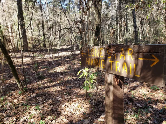 Lone Star Hiking Trail - Big Creek Primitive Campsite