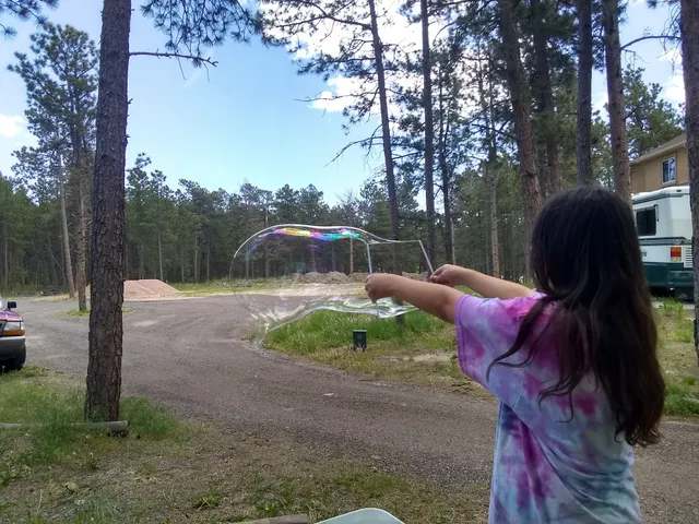 Southwinds Fine Arts