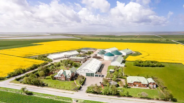 Family Wulff farm holidays