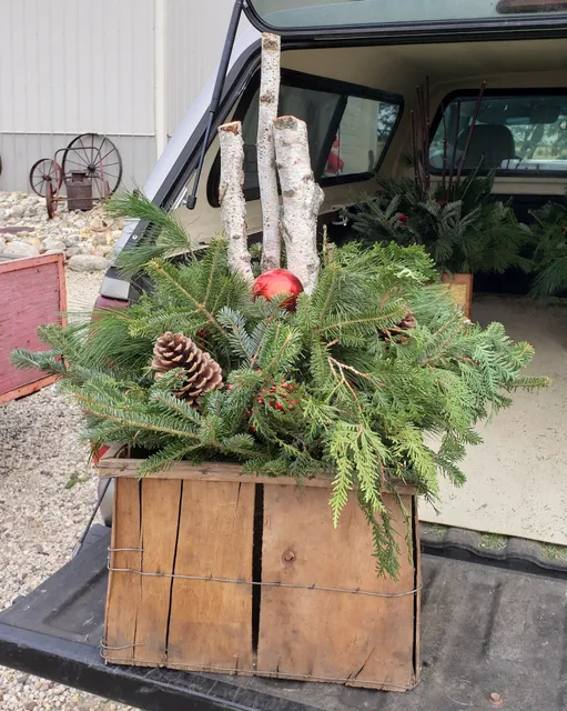Swan's Quality Christmas Trees: Fresh Trees, Wreaths and Garland