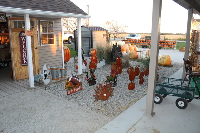 Jason's Pumpkin Patch