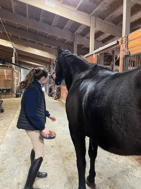Wayne Equestrian Center
