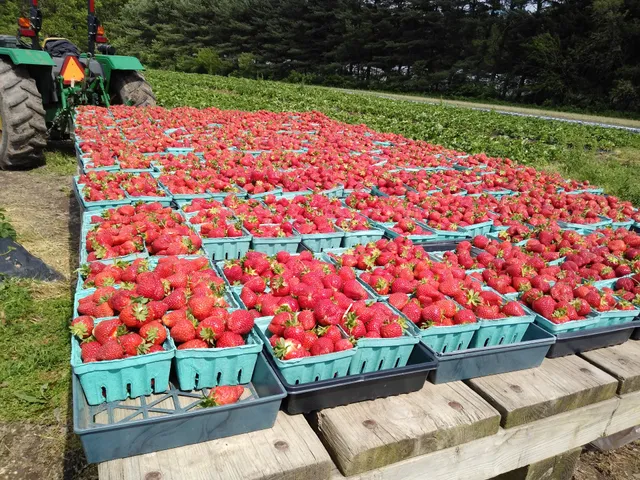 Muth Family Farm LLC