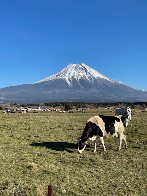 Tokyo University of Agriculture Fuji Farm