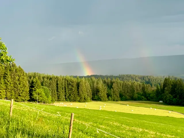 Ferienwohnungen Fuchs & Hase Saig