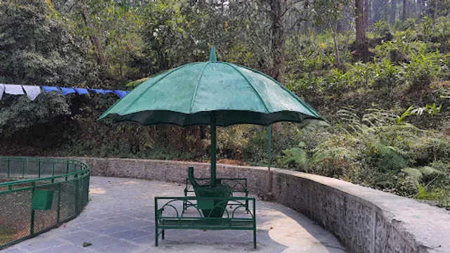 The Darjeeling (Kolkata )