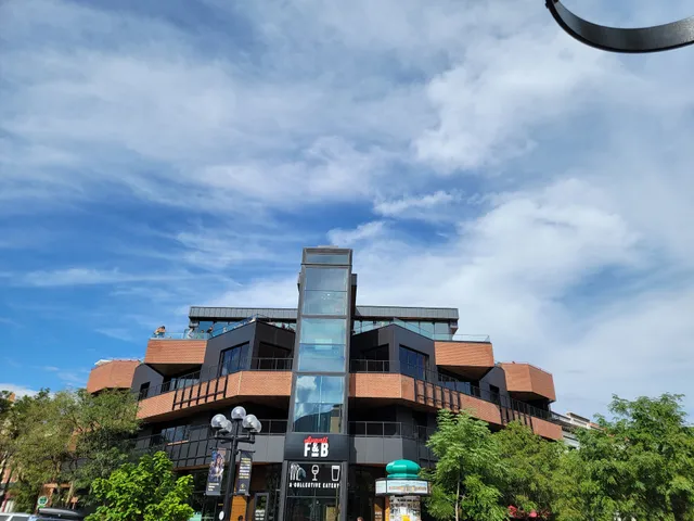 Pearl Street Mall Properties