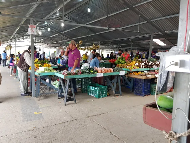 Feria Del Agricultor - Centro Agricola Cantonal Coronado