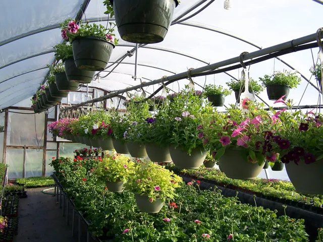 Rolling Meadows Farms