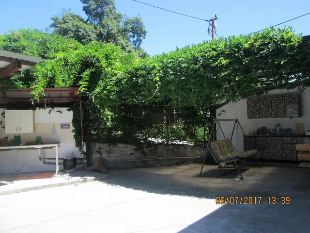 Elling Zolotaya Dolina