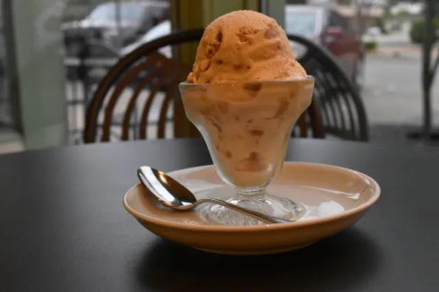 The Turtle Gelateria