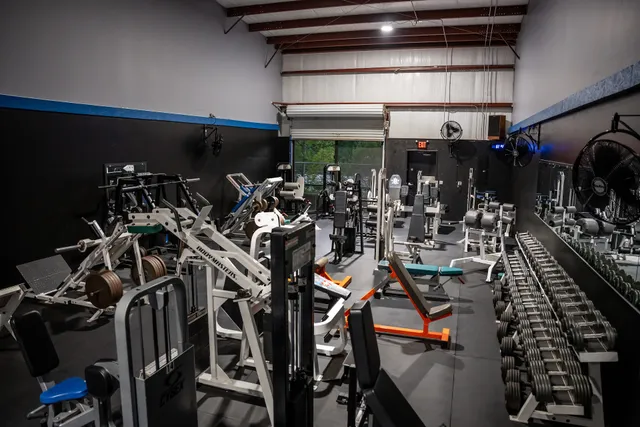 The FN Gym
