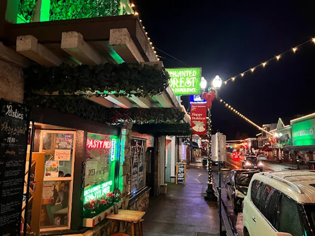 Savory Pies Of The World