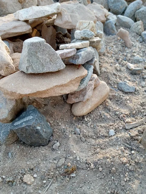 Tree Shoes Slab City