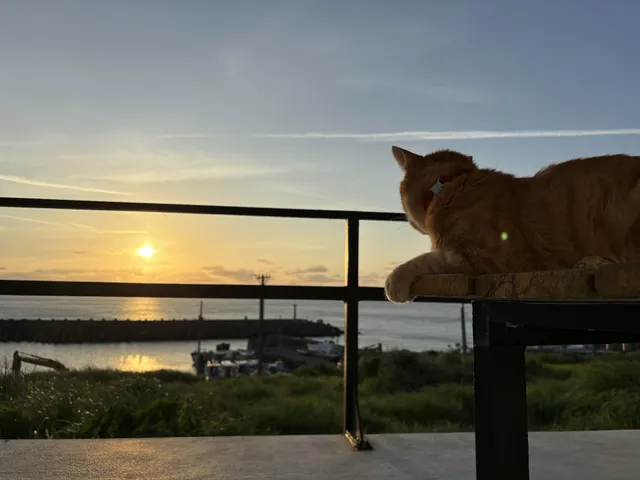 藍洋潛水訓練中心 Blue Ocean SCUBA Center