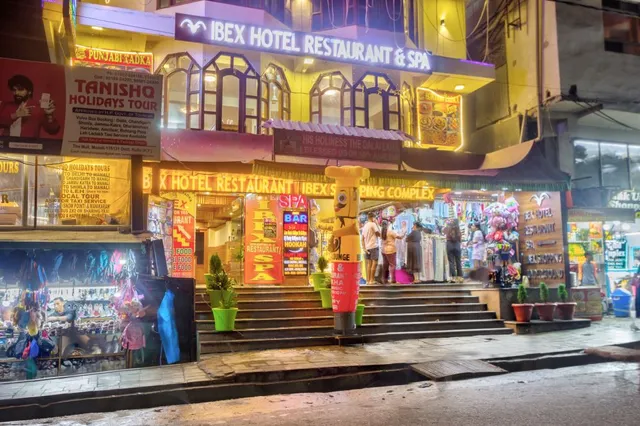 Hotel Ibex Manali