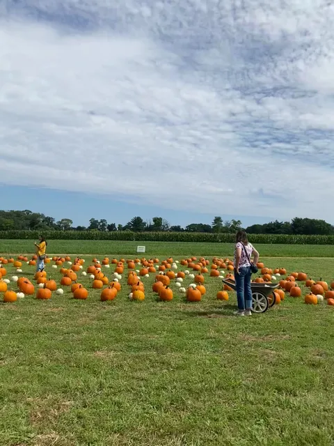 Delicious Orchard Warehouse