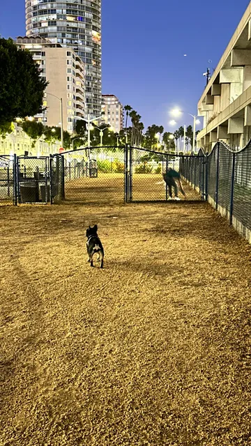 Seaside Dog Zone