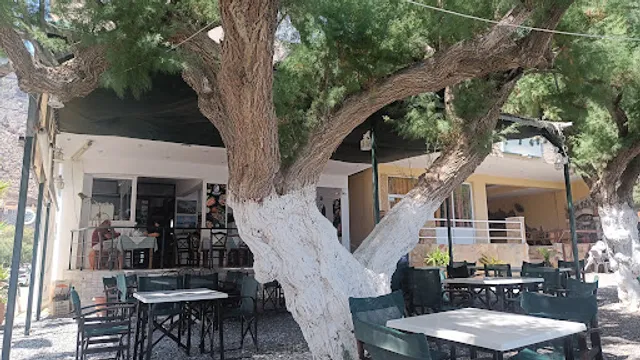 Marinela Dining by the Sea