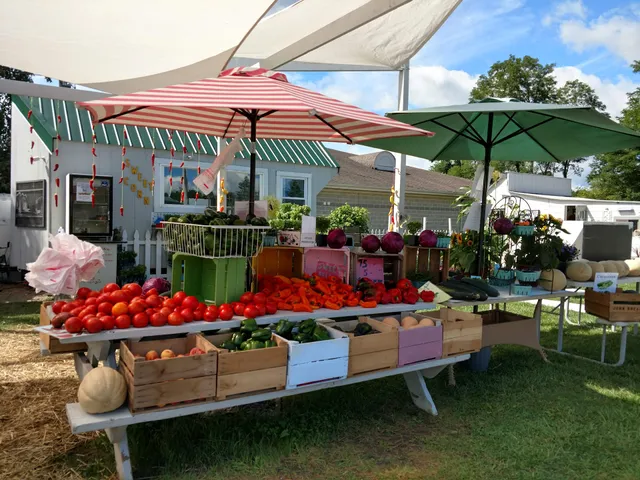 A Taste of Summer Farmers Market
