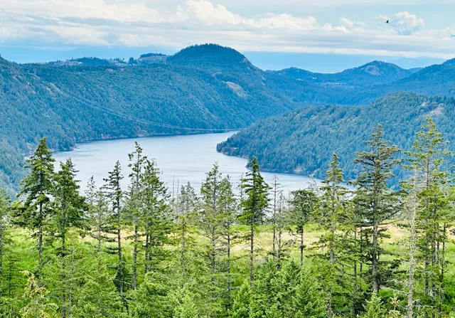 Malahat Summit Viewpoint