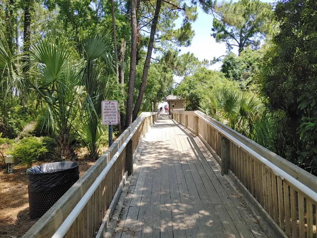 Folly Field Beach Park
