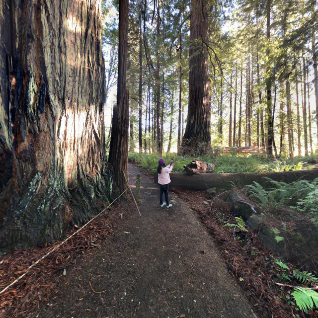 Prairie Creek Redwoods SP Visitor Ctr-NB