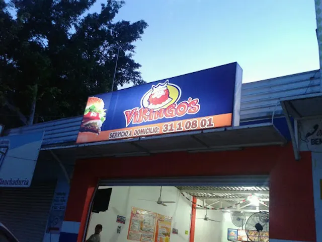 Vikingo's