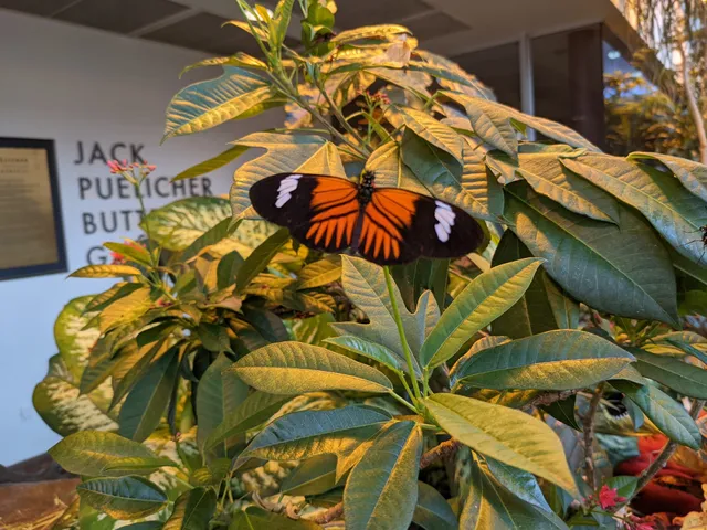 Milwaukee Public Museum