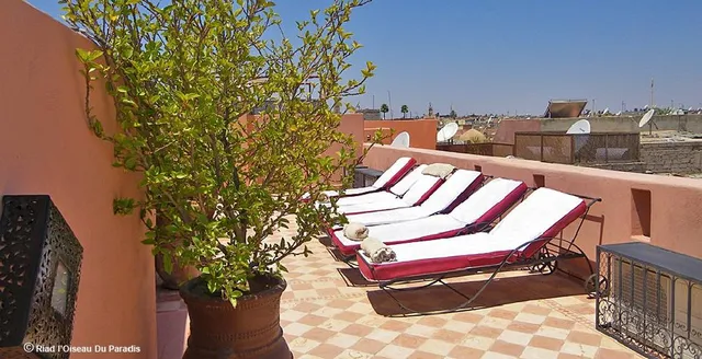Riad l'Oiseau du Paradis