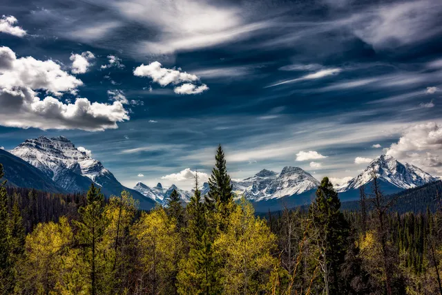 Athabasca Pass Lookout