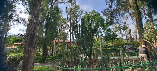 Juventino Rosas Park