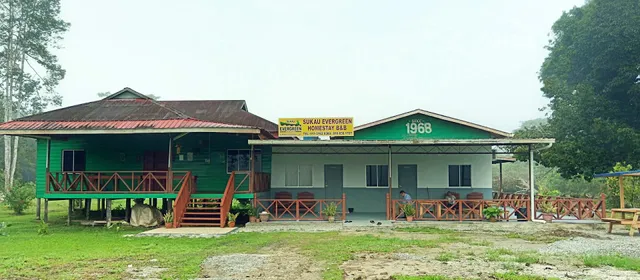 Sukau Evergreen Homestay B&B