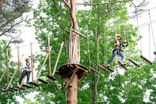 NOZARU Tree Adventure Nasu