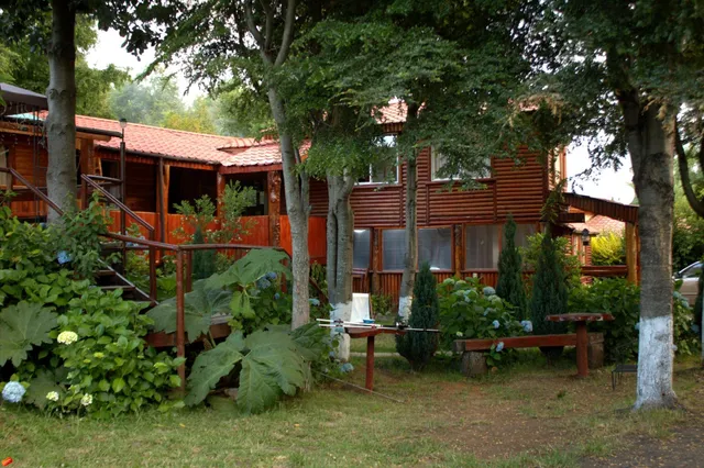 Hostal Licanray