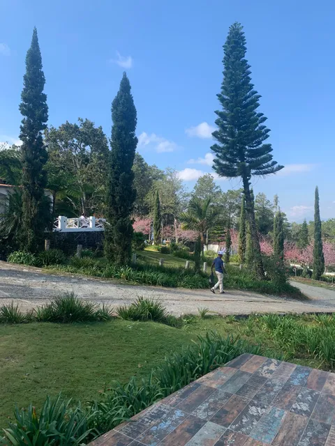 Rancho La Vereda