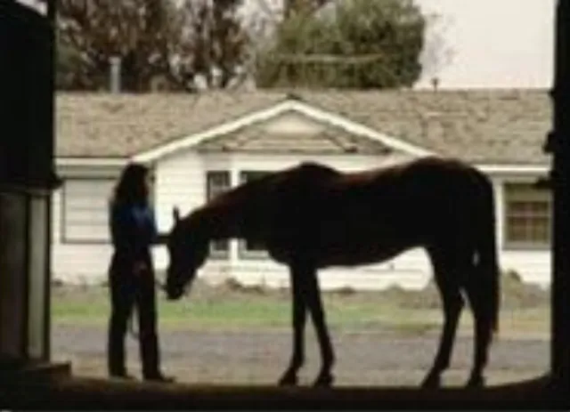 Lakewood Equestrian Center