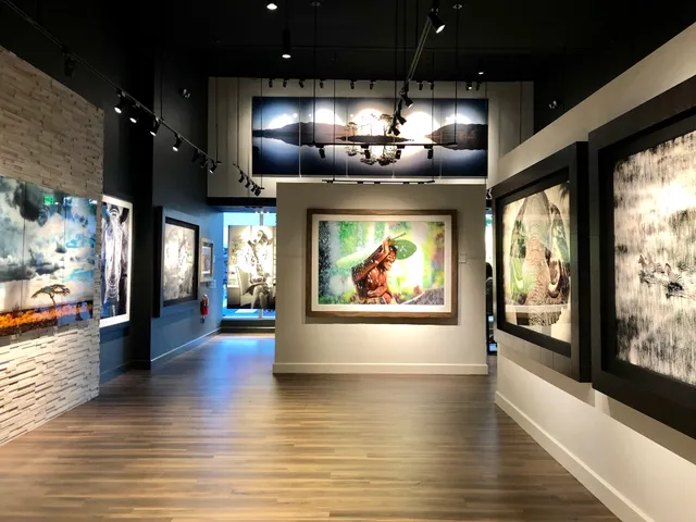 National Gallery of Fine Art Miami