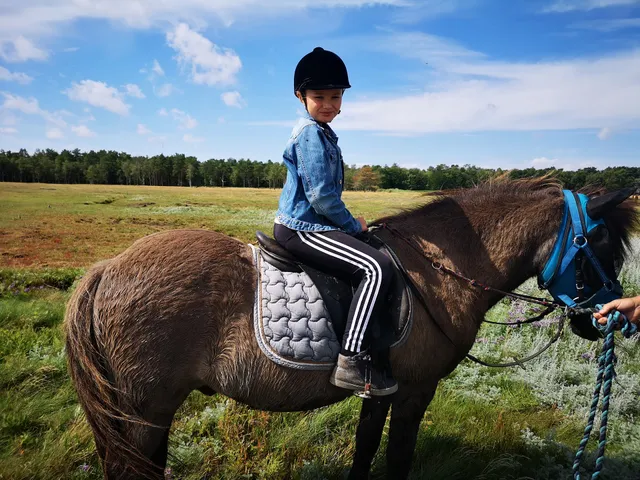 Fædrelandet Turridning og Ferielejlighed