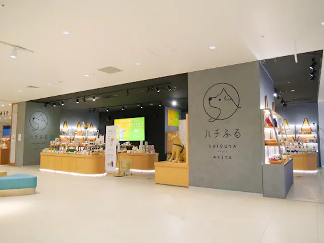 Hachiful SHIBUYA meets AKITA