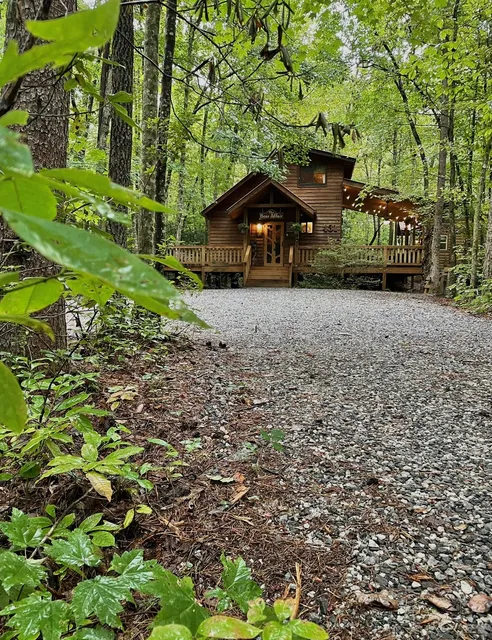 The Bear Affair Cabin Helen, Ga