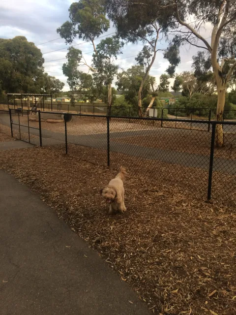 Golden Grove Fenced Dog Park