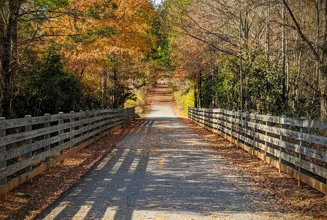 Lucille Creek Trail-Silver Comet Trail Connection